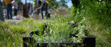 Event-Image for 'Natur verbindet &ndash; Ruderalfl&auml;che anlegen'