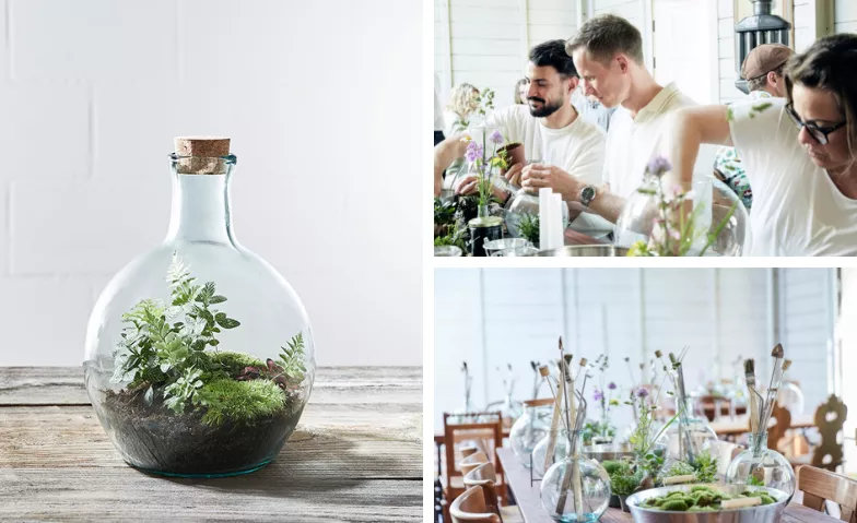 Flaschengarten-Workshop, Courses & Seminars / Leisure & Hobby, Green Bubble, Rigiplatz