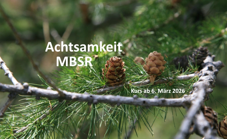 MBSR 8-Wochenkurs in Luzern - Abend, Gesundheit & Spiritualität / Gesundheit & Wohlbefinden, Gesundheitsatelier