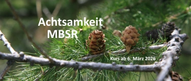 Event-Image for 'MBSR 8-Wochenkurs in Luzern - Abend'