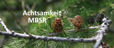 Event-Image for 'MBSR 8-Wochenkurs in Luzern'