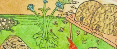 Event-Image for 'Honig-Geschichte(n)'