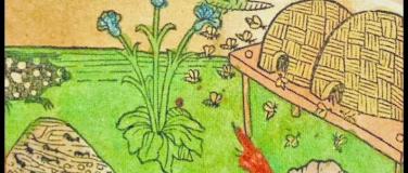 Event-Image for 'Honig-Geschichte(n)'