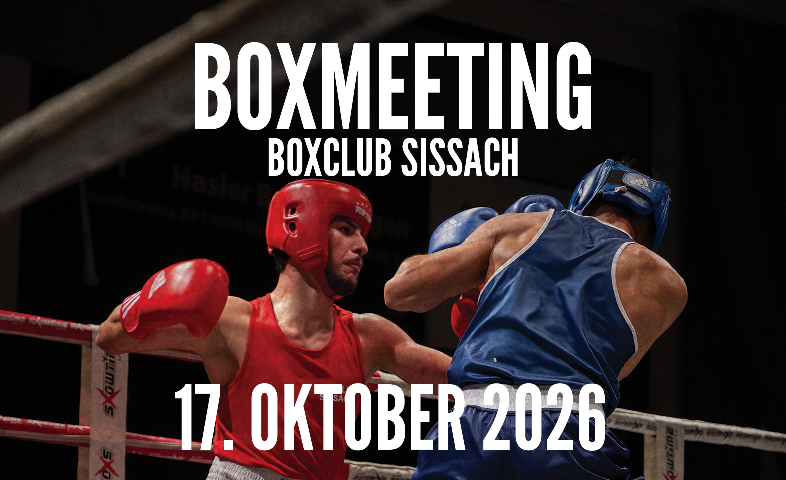 Boxmeeting Boxclub Sissach