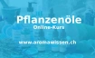 Pflanzen&ouml;le &ndash; untersch&auml;tzten Helfer f&uuml;r Haut & Wohlbefinden