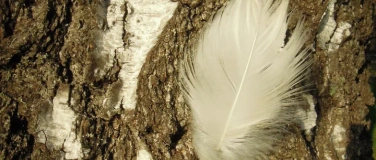 Event-Image for 'ACHTSAMER FEIERABEND-SPAZIERGANG'