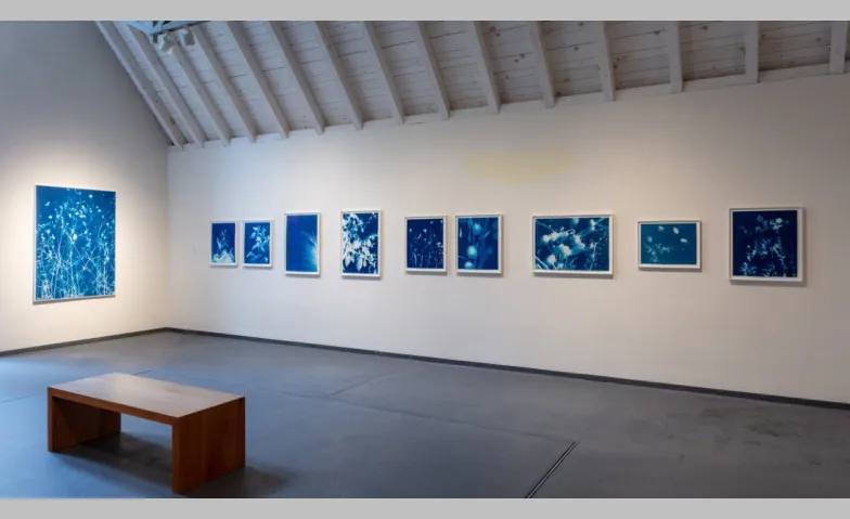 Festhalten was vergeht, Kunst & Ausstellungen, Kunstmuseum Thurgau