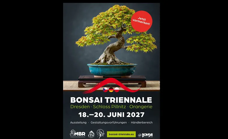 Event-Image for 'BONSAI TRIENNALE'