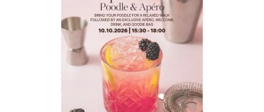 Event-Image for 'Pudeltreff Ap&eacute;roodle - Poodle & Ap&eacute;ro'