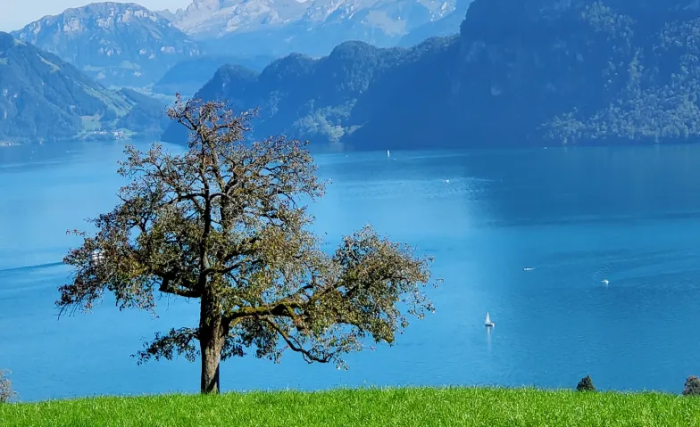Event-Image for 'Wanderung f&uuml;r Seniorinnen und Senioren'