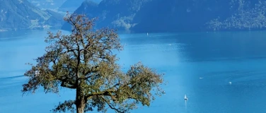 Event-Image for 'Wanderung f&uuml;r Seniorinnen und Senioren'