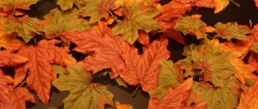 Event-Image for 'Dating f&uuml;r Singles &ndash; Herbstausflug'