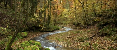Event-Image for 'Fotokurs / Fotoworkshop "Golden Creek", T&ouml;sstal (Fotografie)'