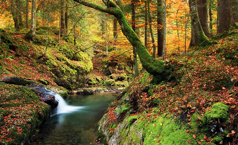 Fotokurs / Fotoworkshop am Überraschungsort (Fotografie)