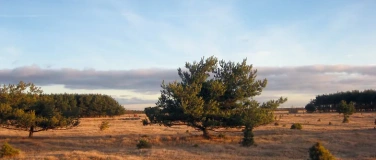 Event-Image for 'Im Herbst Altes absch&uuml;tteln - Qigong und Naturerfahrung an d'