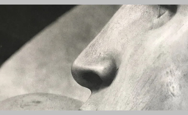 Führung durch die Michelangelo-Ausstellung "Das Wort wurde F
