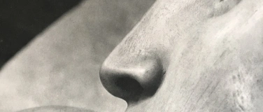 Event-Image for 'F&uuml;hrung durch die Michelangelo-Ausstellung "Das Wort wurde F'