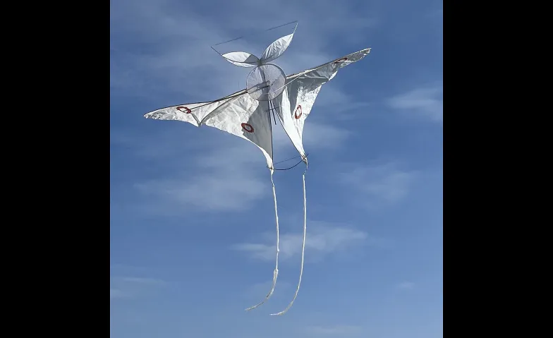 Event-Image for 'Form&shy;fl&uuml;&shy;ge und Farb&shy;kl&auml;n&shy;ge'