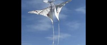Event-Image for 'Form&shy;fl&uuml;&shy;ge und Farb&shy;kl&auml;n&shy;ge'