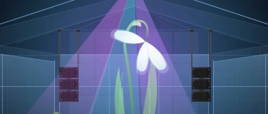 Event-Image for 'Galanthus - Rave in the Jungle'