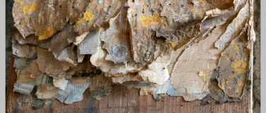 Event-Image for 'Ge(h)schichten'