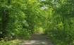 Outdoor-Workshop: Entdecke 7 Wege der Gehmeditation