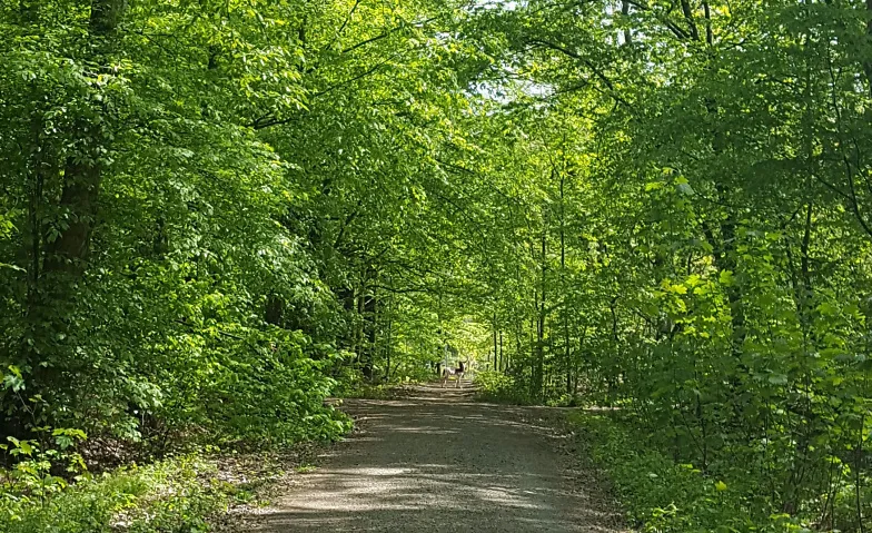 Event-Image for 'Outdoor-Workshop: Entdecke 7 Wege der Gehmeditation'