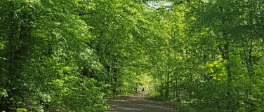 Event-Image for 'Outdoor-Workshop: Entdecke 7 Wege der Gehmeditation'