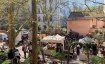 Rosenhof-Markt im Niederdorf Z&uuml;rich
