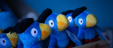 Event-Image for 'Globi Festival'