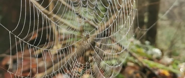 Event-Image for 'Grusel zwischen den Seiten'