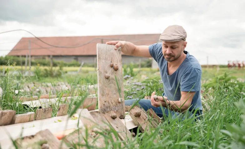 Schnecken, Gemüse und die "Essbare Stadt"
