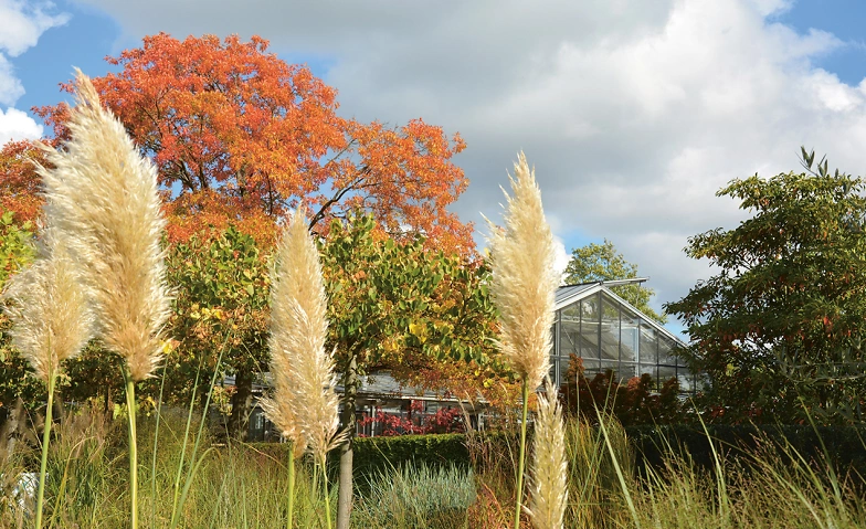 Indian Summer Festival