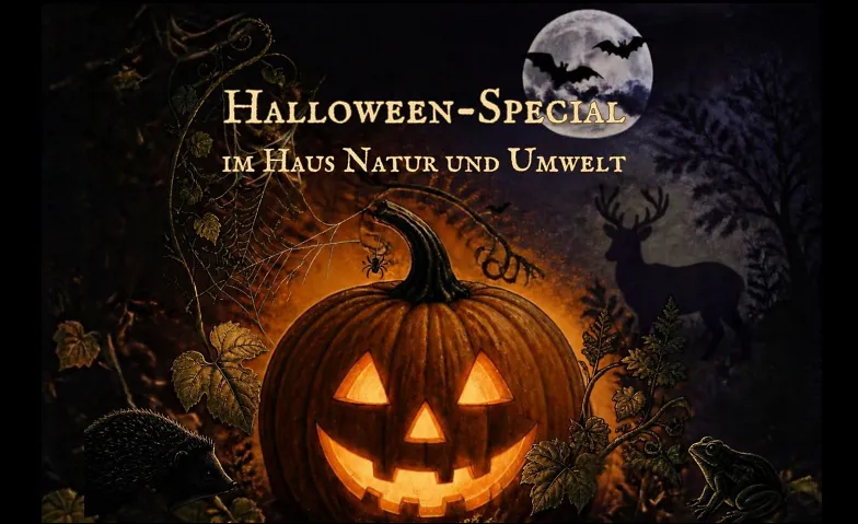 Halloween-Special im Haus Natur und Umwelt