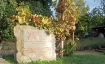 Weinwanderung Bischofsberg in der Weinbergslage Johannisberg