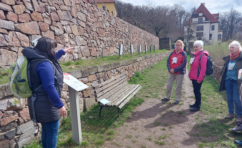 Moderierte Weinwanderung "Weinberge im Verborgenen" 4 h Tickets