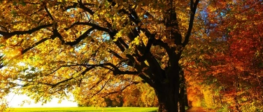Event-Image for 'Die vier Jahreszeiten &ndash; einmal anders &laquo;Herbst&raquo;'