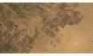 Climate Extremes: Agriculture