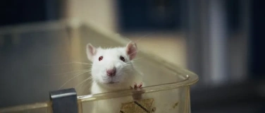 Event-Image for 'Future Science - Das Ende der Tierversuche?'