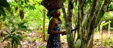 Event-Image for 'Reclaiming Cocoa'