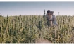 Hanf ohne High
