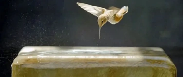Event-Image for 'Every Little Thing'