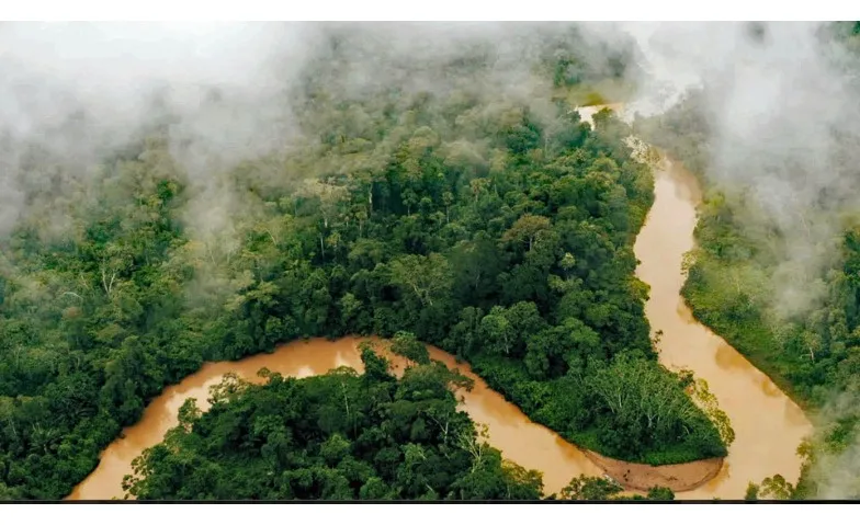 ReEarth: Rights of Nature, Cinéma / Cinéma, Kino Toni