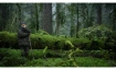 Das Fl&uuml;stern der W&auml;lder
