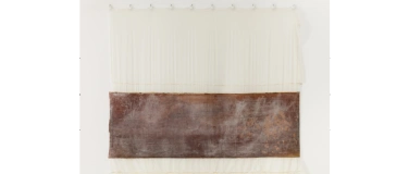 Event-Image for 'Heidi Bucher &ndash; Liesl Raff  F&uuml;hrung'