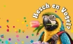 Hesch en Vogel