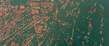 Event-Image for 'Kunstkurs Hochdruck Linolschnitt'