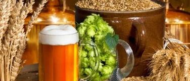 Event-Image for 'Elaboraci&oacute;n de cerveza'