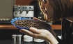Das Espresso-Rezept: Konstanz in deiner Tasse