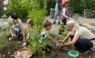 Gartennachmittag f&uuml;r Kinder und Familien